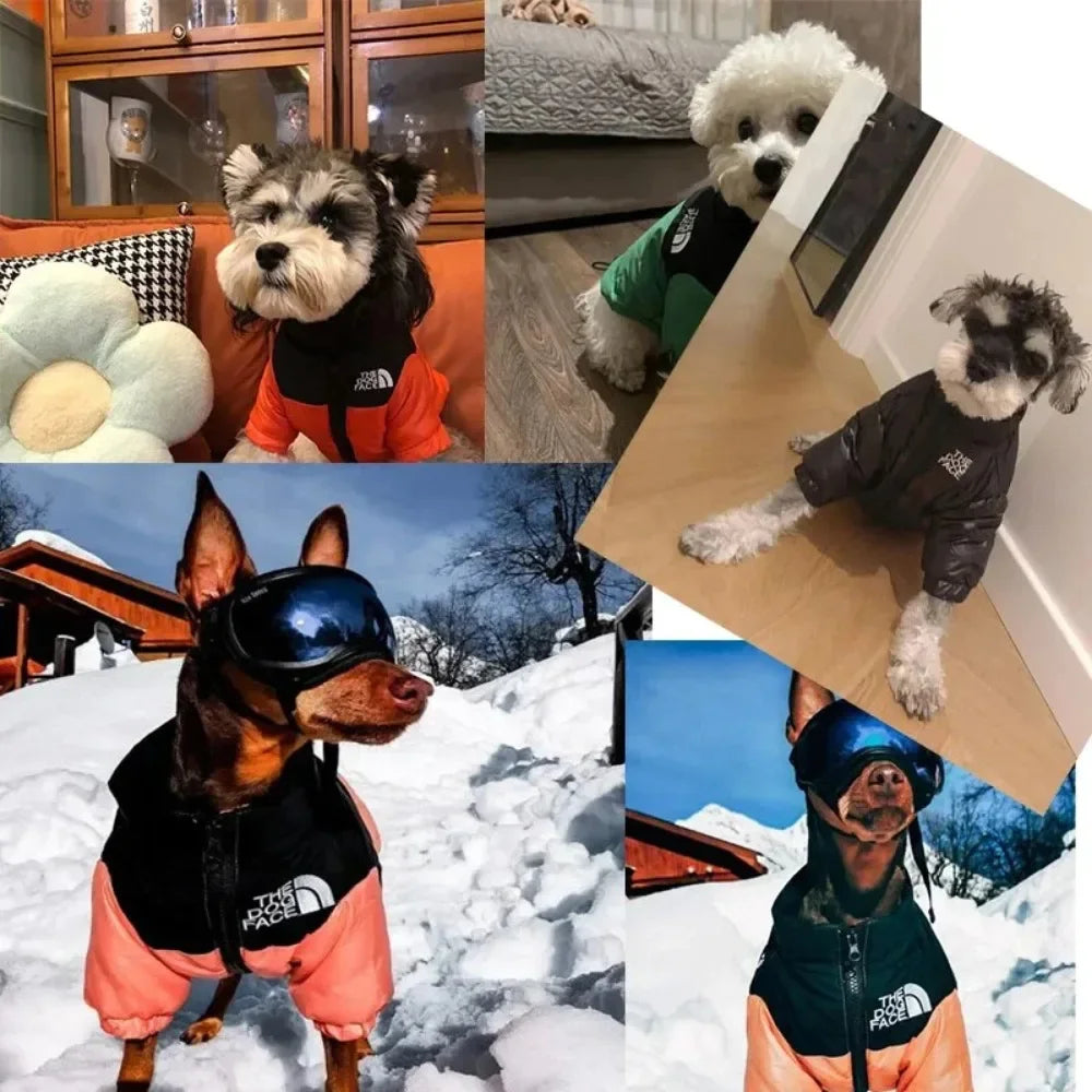 Pet Dog Clothing Large Winter Fashion Brand Clothing Coat Warm Windproof Waterproof Dual Color Down Jacke Small Medium Dog Coat
